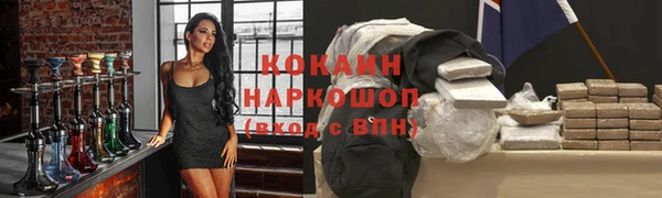 сатива Богданович